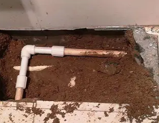 巴彦测漏水哪家好