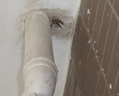 巴彦漏水检测哪家好